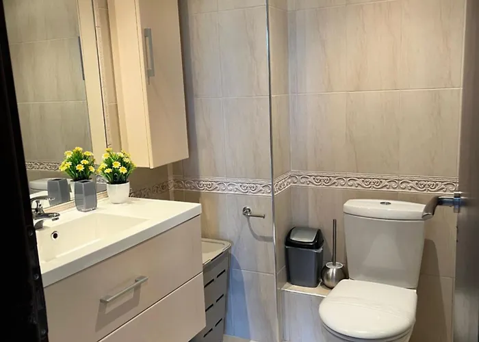 двуспален оазис бийч клуб * 로제넷츠